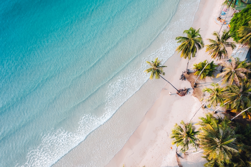 Aerial view of beach with surfers